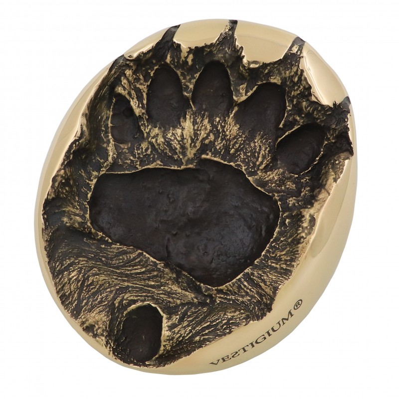 VESTIGIUM® bear paw bronze size 1:1 VESTIGIUM® bear paw bronze size 1:1