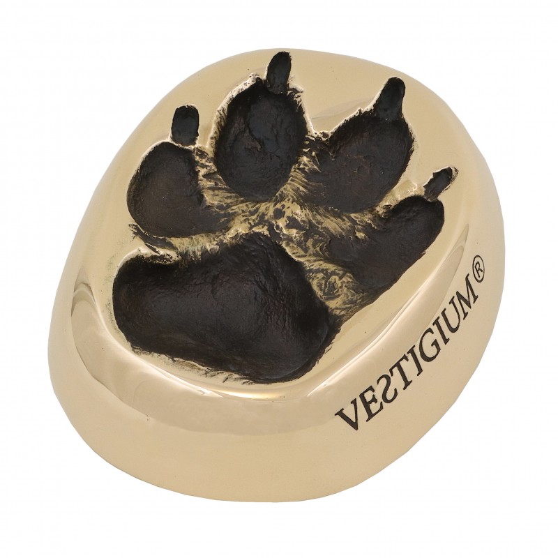 Wolf paw - bronze cast 1:1 Wolf paw - bronze cast 1:1
