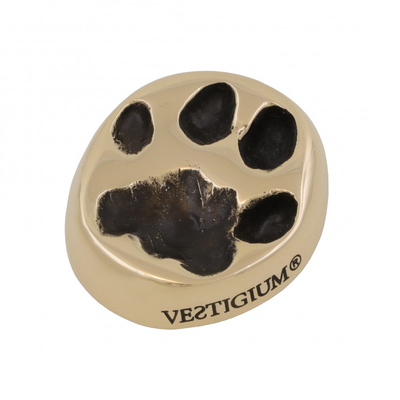 lynx paw bronze size 1:1 lynx paw bronze size 1:1