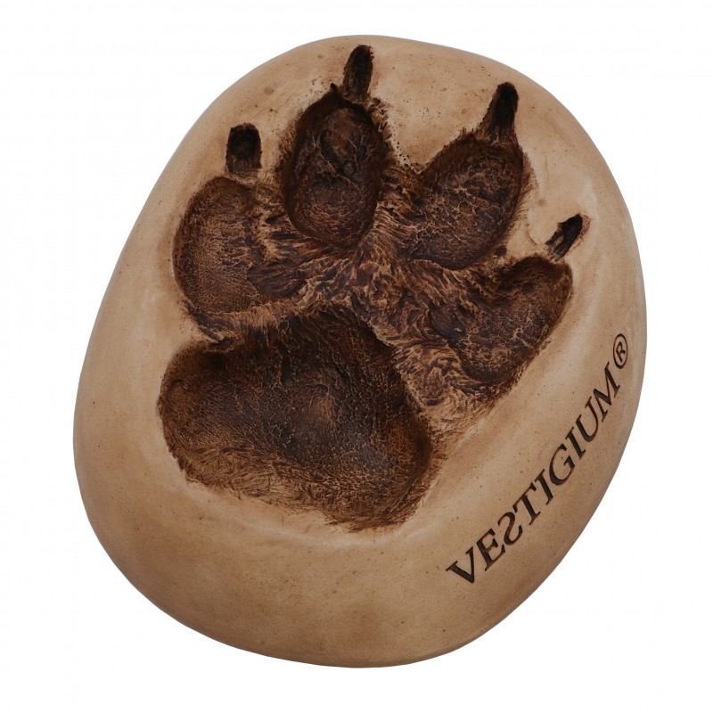 VESTIGIUM® wolf paw ceramic size 1:1 VESTIGIUM® wolf paw ceramic size 1:1